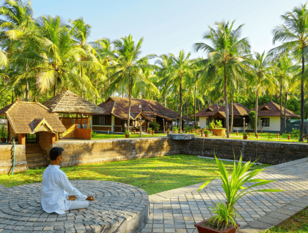 Yoga, Meditation & Pranayama