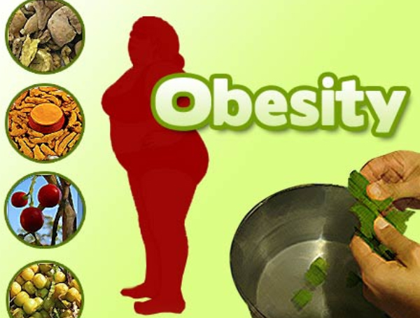 Anti - Obesity Program