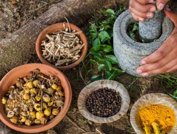 The India Experience An Ayurvedic Journey