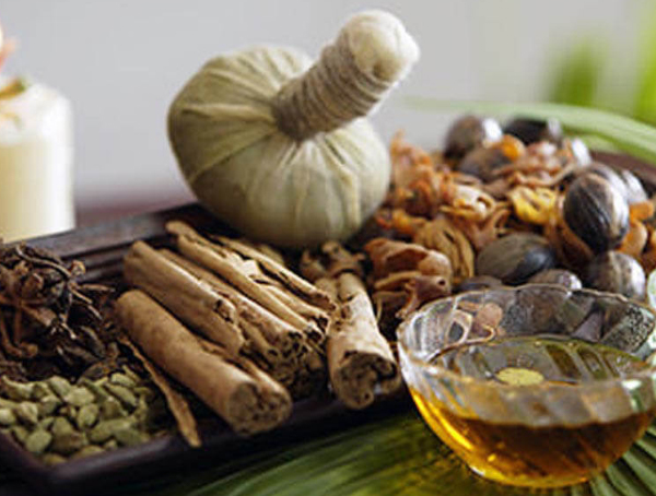 Body Immunization Or Longevity Therapy