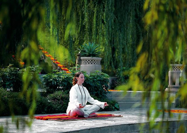 Ananda Dhyana Meditation